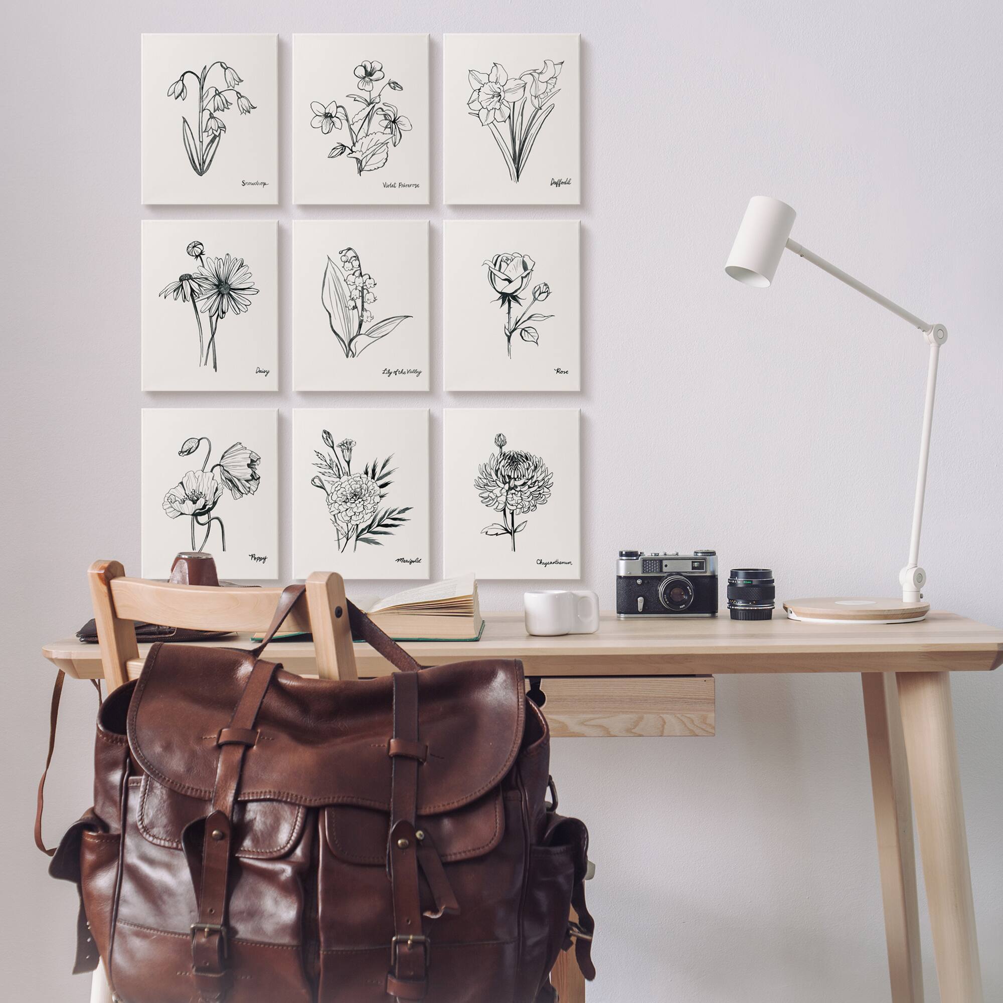 Stupell Industries Countryside Floral Illustrations Dynamic Linework,11' x 14"